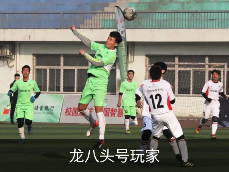 龙八(头号玩家)唯一官方网站